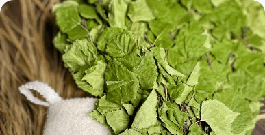How to Prepare a Birch Sauna Whisk