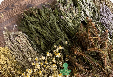 How to Use Herbal Sauna Whisks