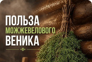 Juniper Sauna Whisk: How to Prepare and Use It