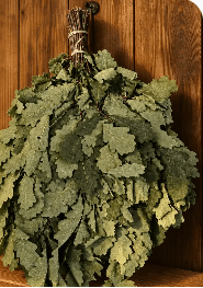 How to Prepare an Oak Sauna Whisk: Complete Guide