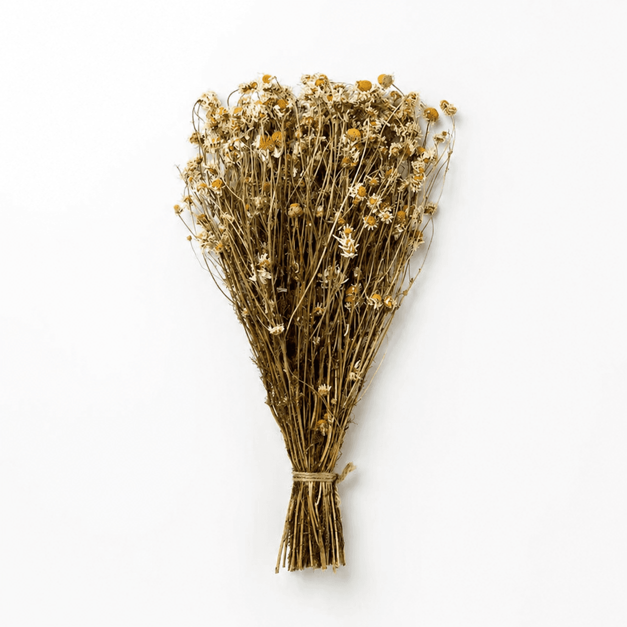 Chamomile Herbal Bundle