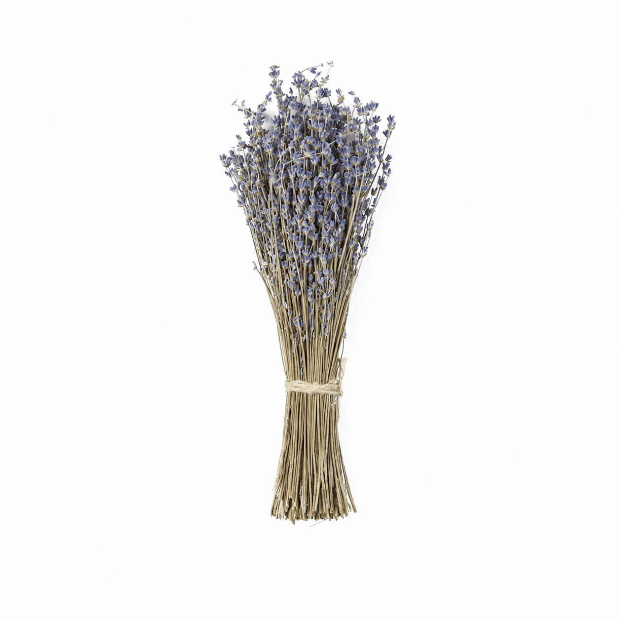 Lavender Herbal Bundle