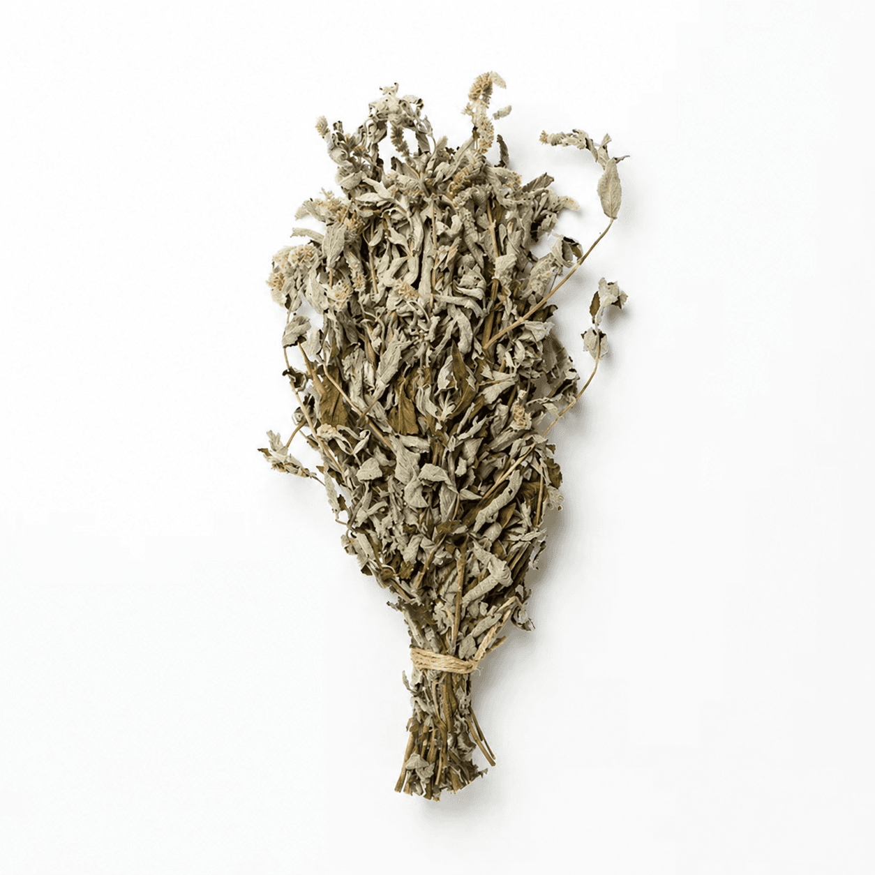 Mint Herbal Bundle