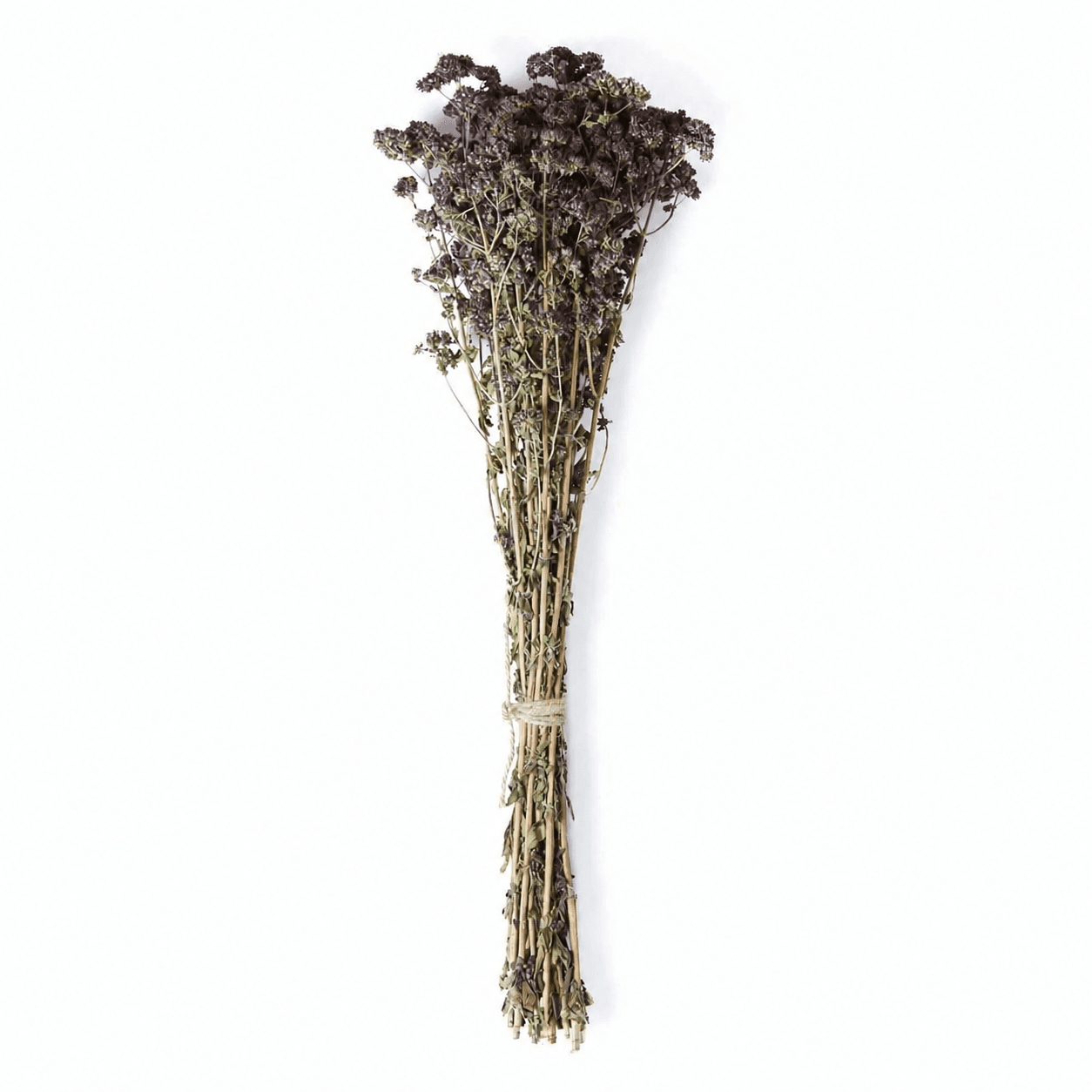 Oregano Herbal Bundle