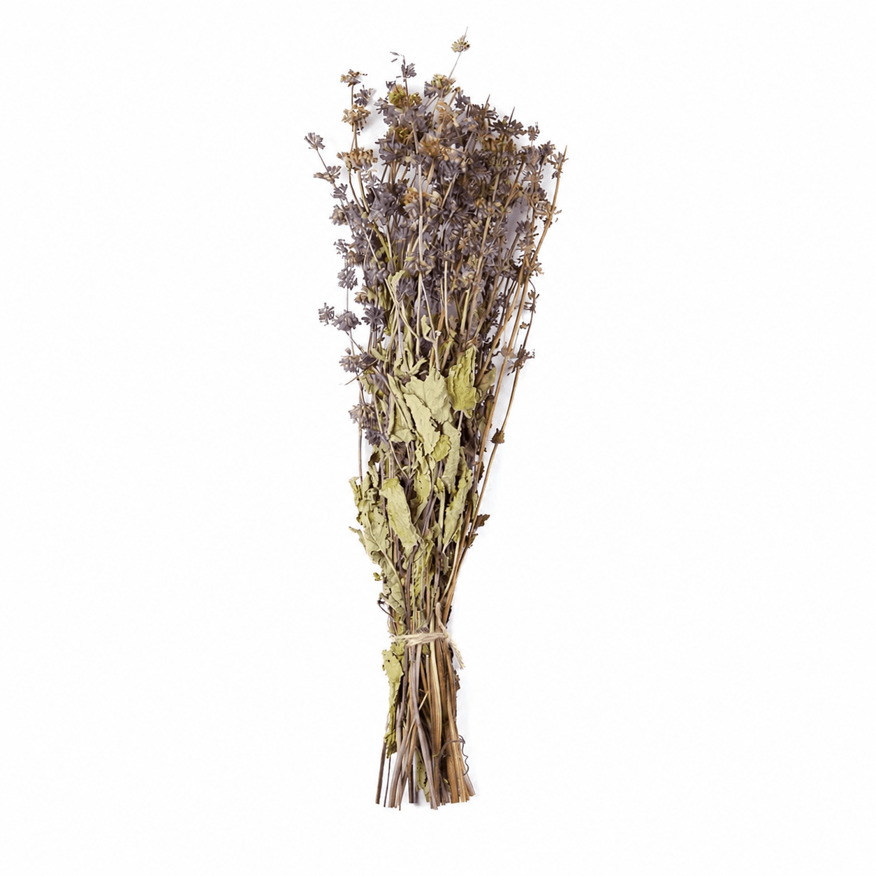 Sage Herbal Bundle