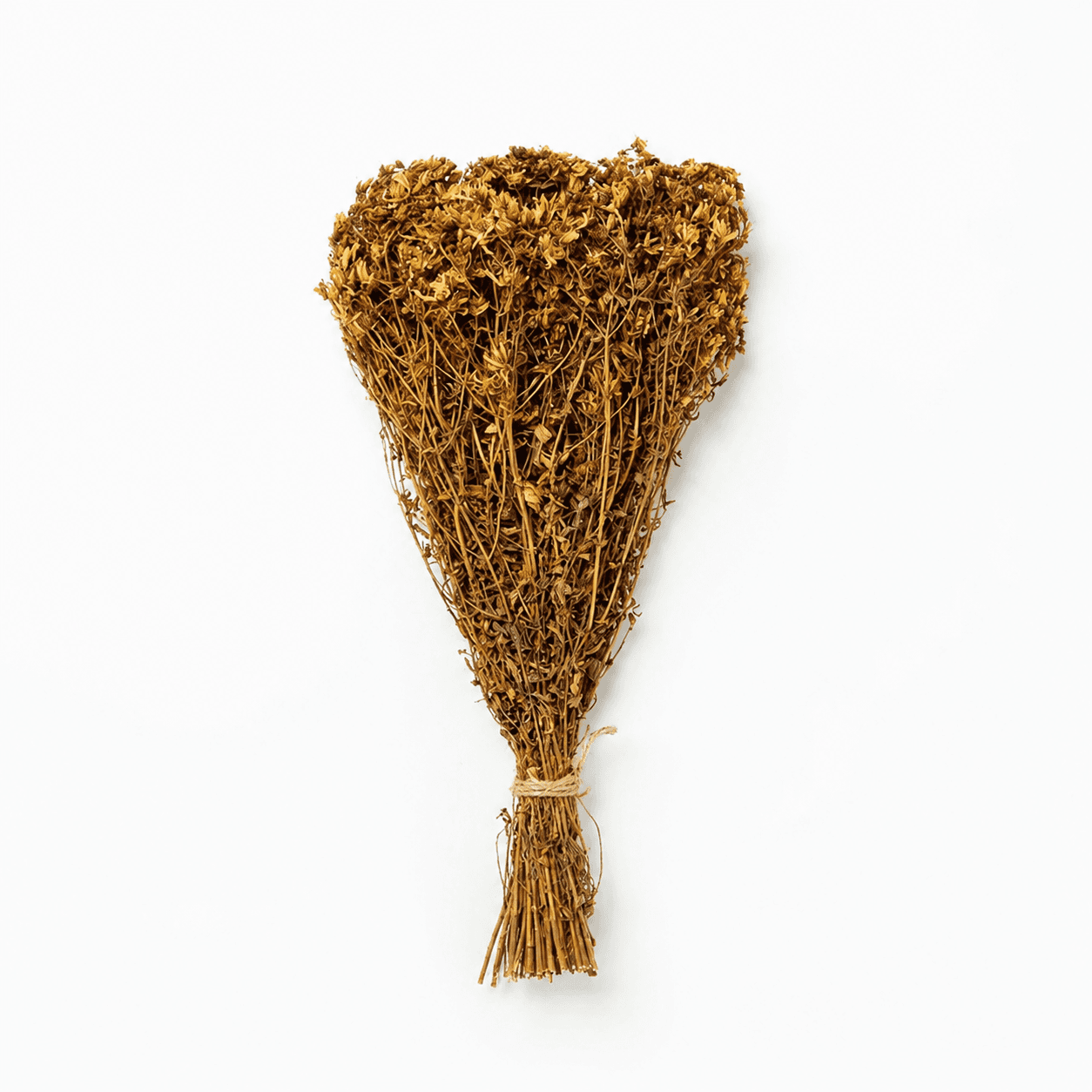 St. John’s Wort Herbal Bundle