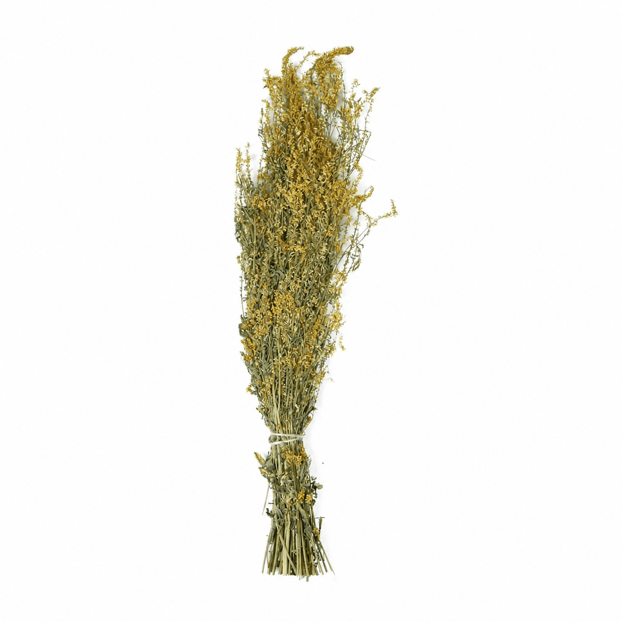 Sweet Clover Herbal Bundle
