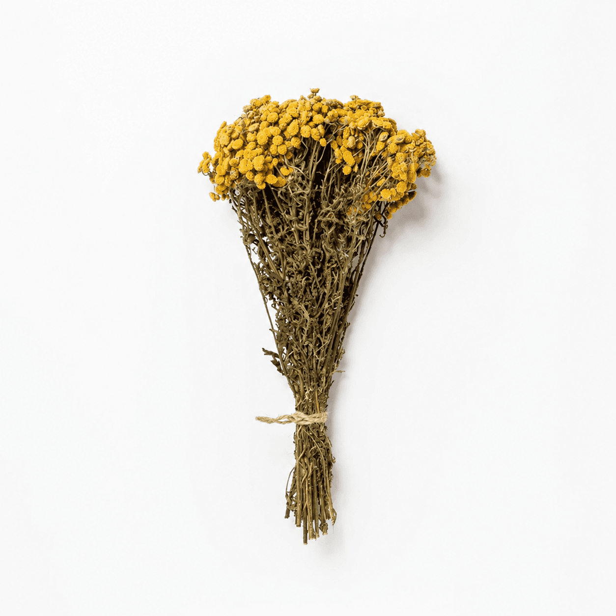 Tansy Herbal Bundle