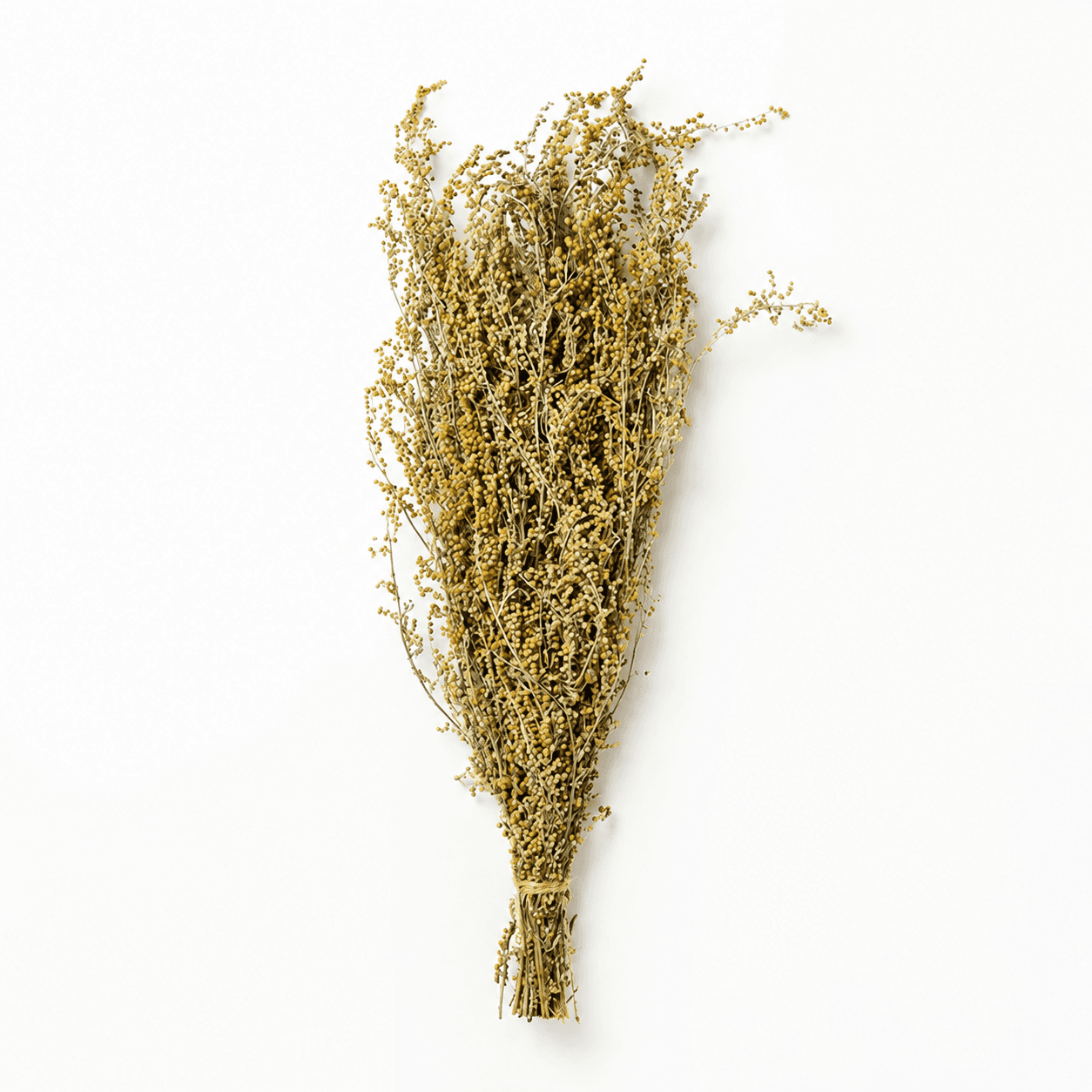 Wormwood Herbal Bundle