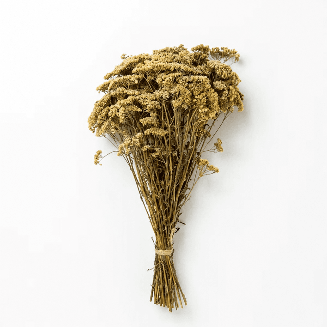 Yarrow Herbal Bundle